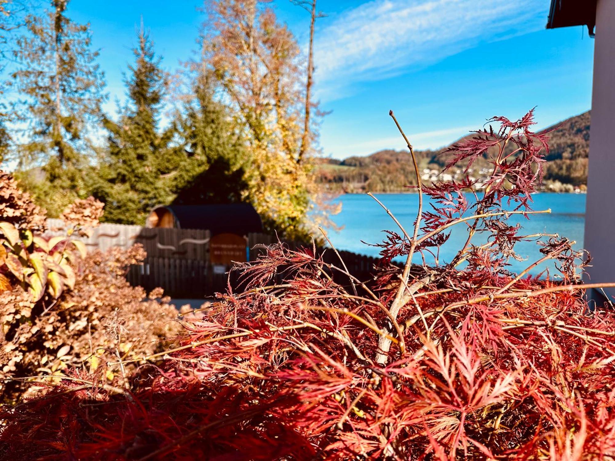 Brunnwirt Essen & Wohnen Appartement Fuschl am See Buitenkant foto